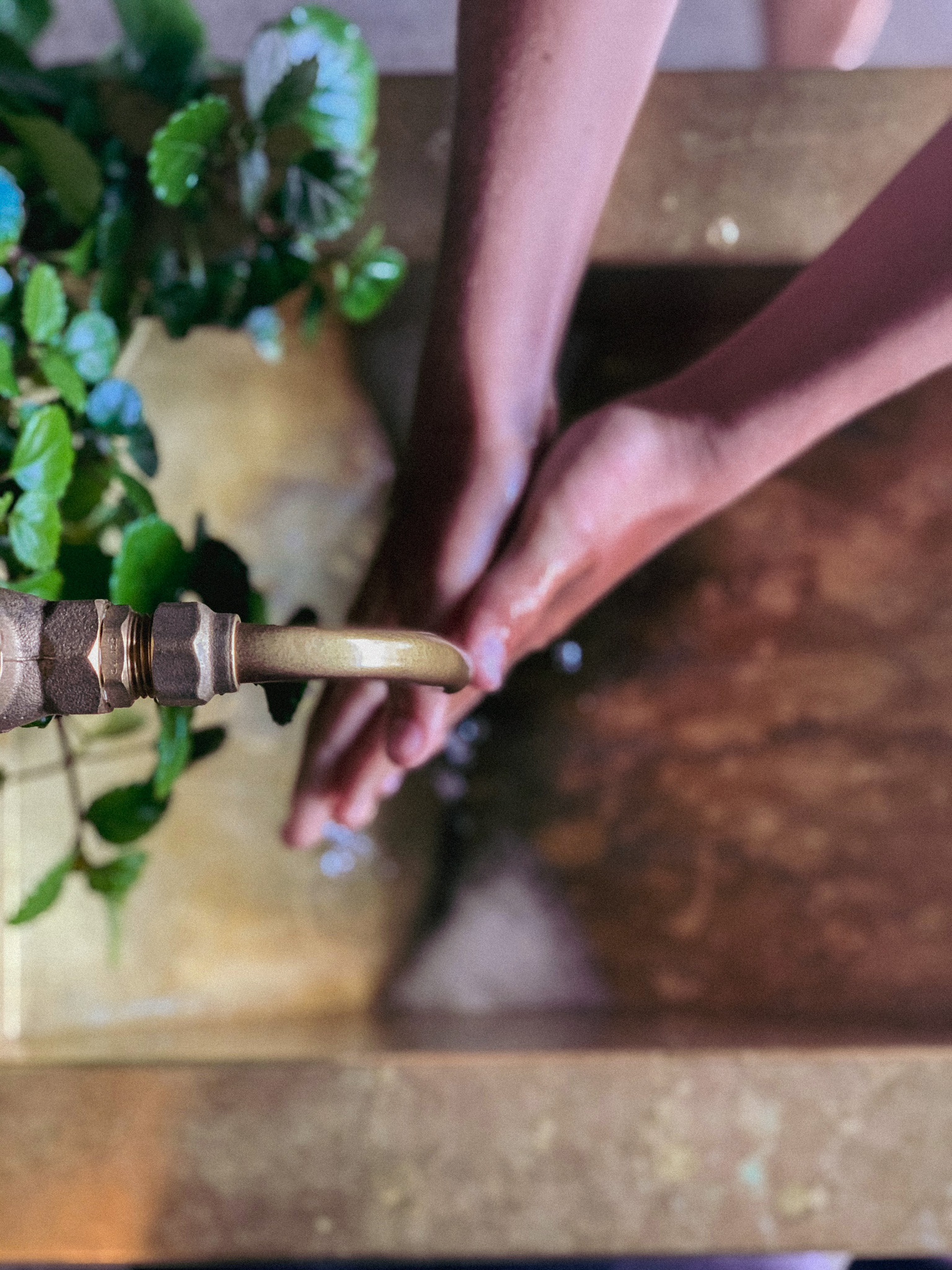 Real World Repair Hand Wash - Hoheria, Pōhutukawa & Mandarin 500ml